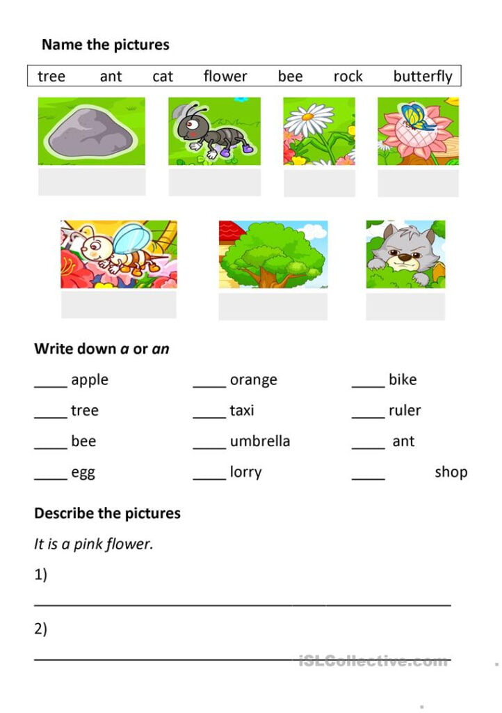 Article A And An Worksheets For Kindergarten