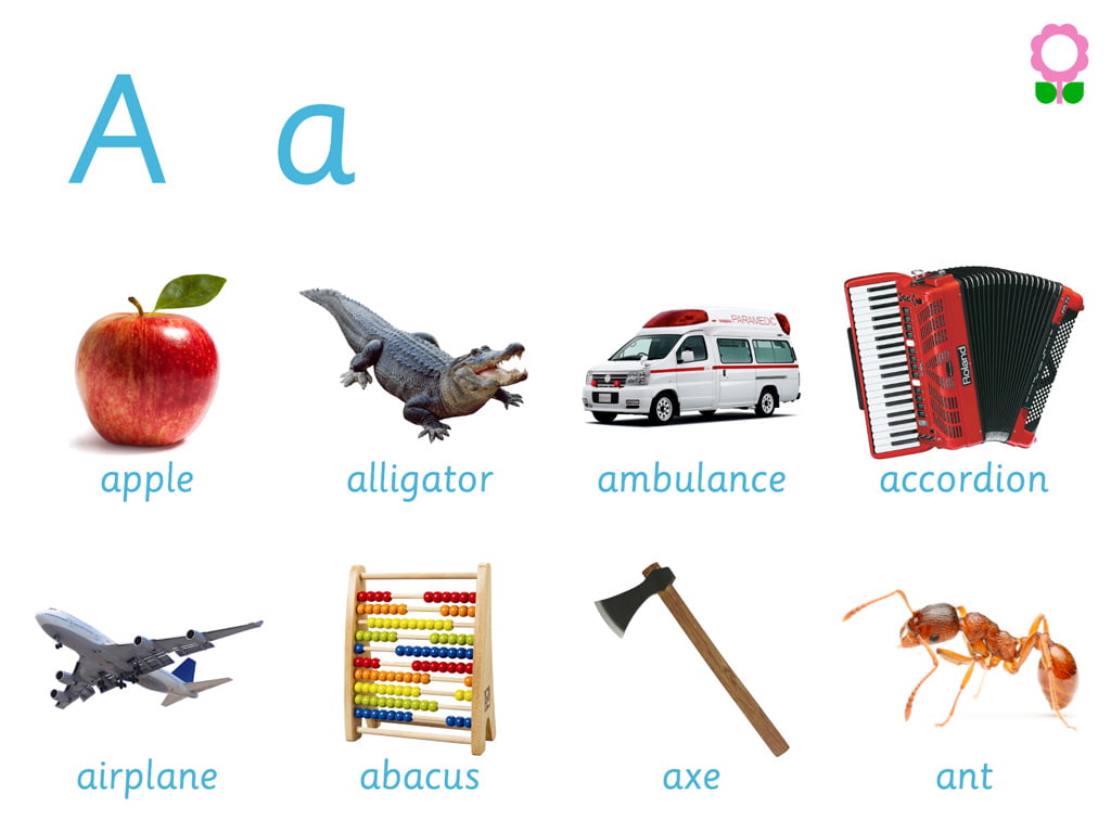 Letter A Words For Preschool