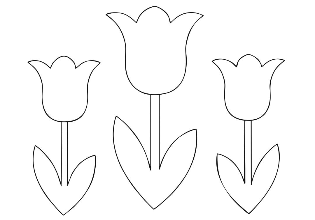 10 Best Free Printable Tulip Stencil Printablee