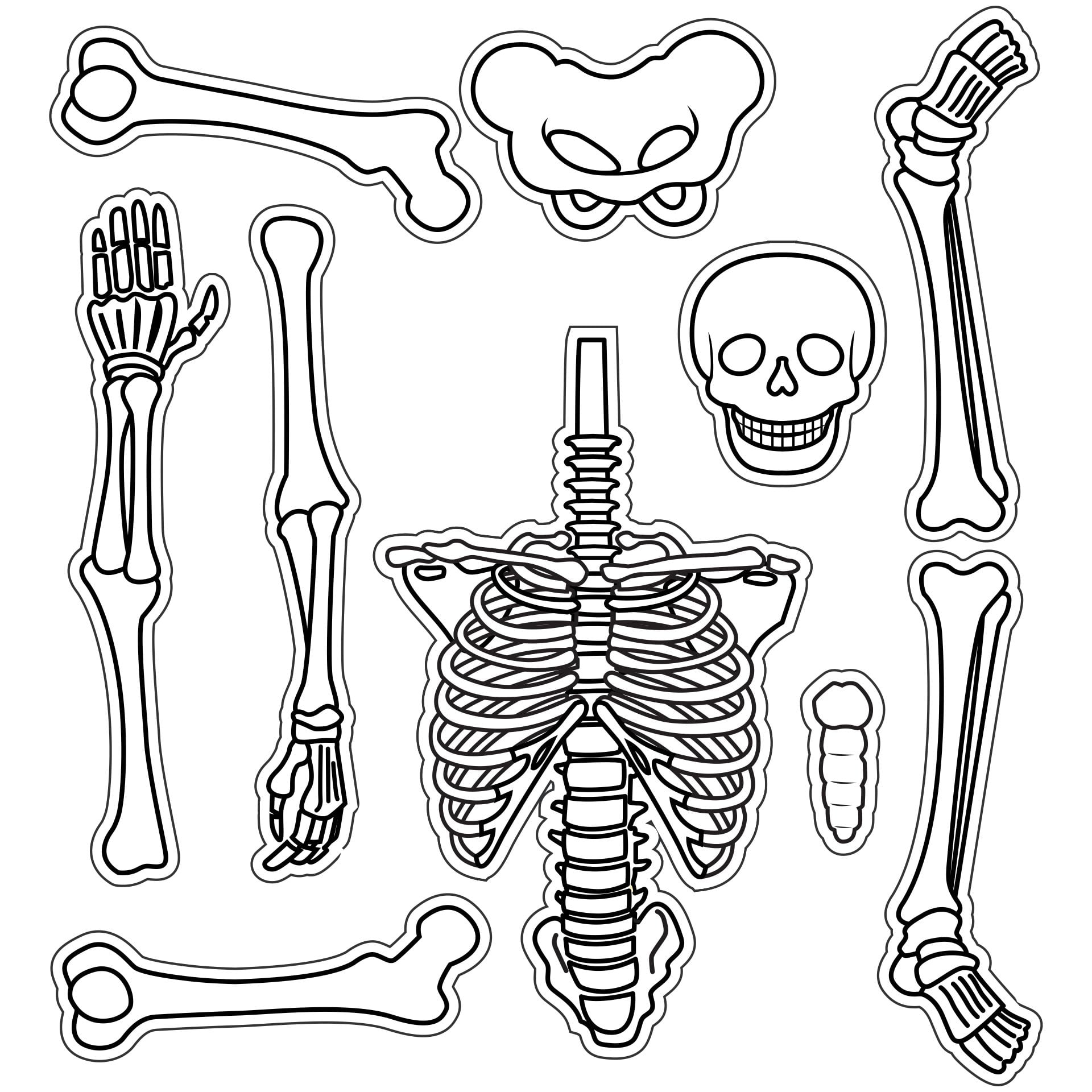 Free Printable Skeleton Template