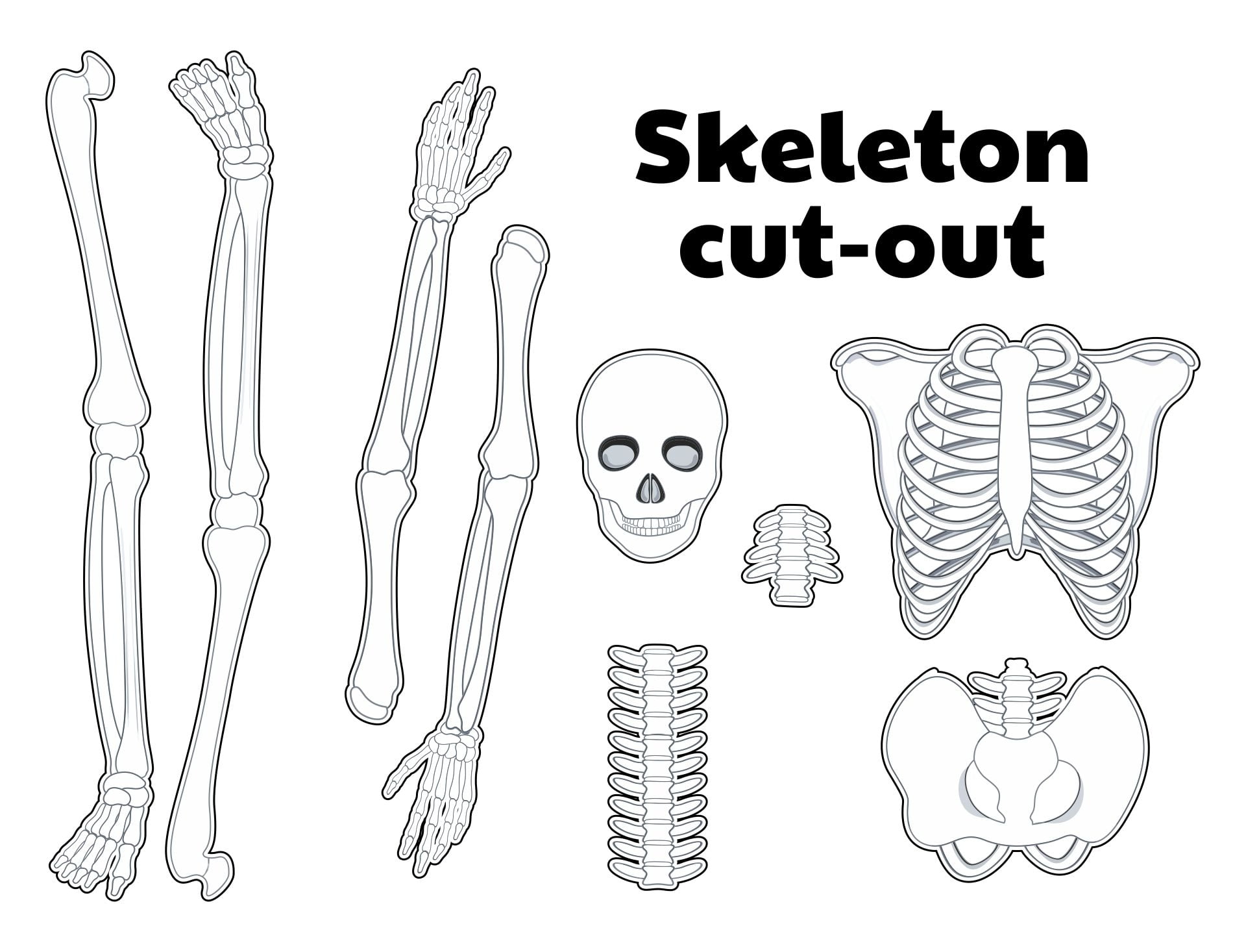 15 Best Printable Halloween Skeleton Patterns Printablee