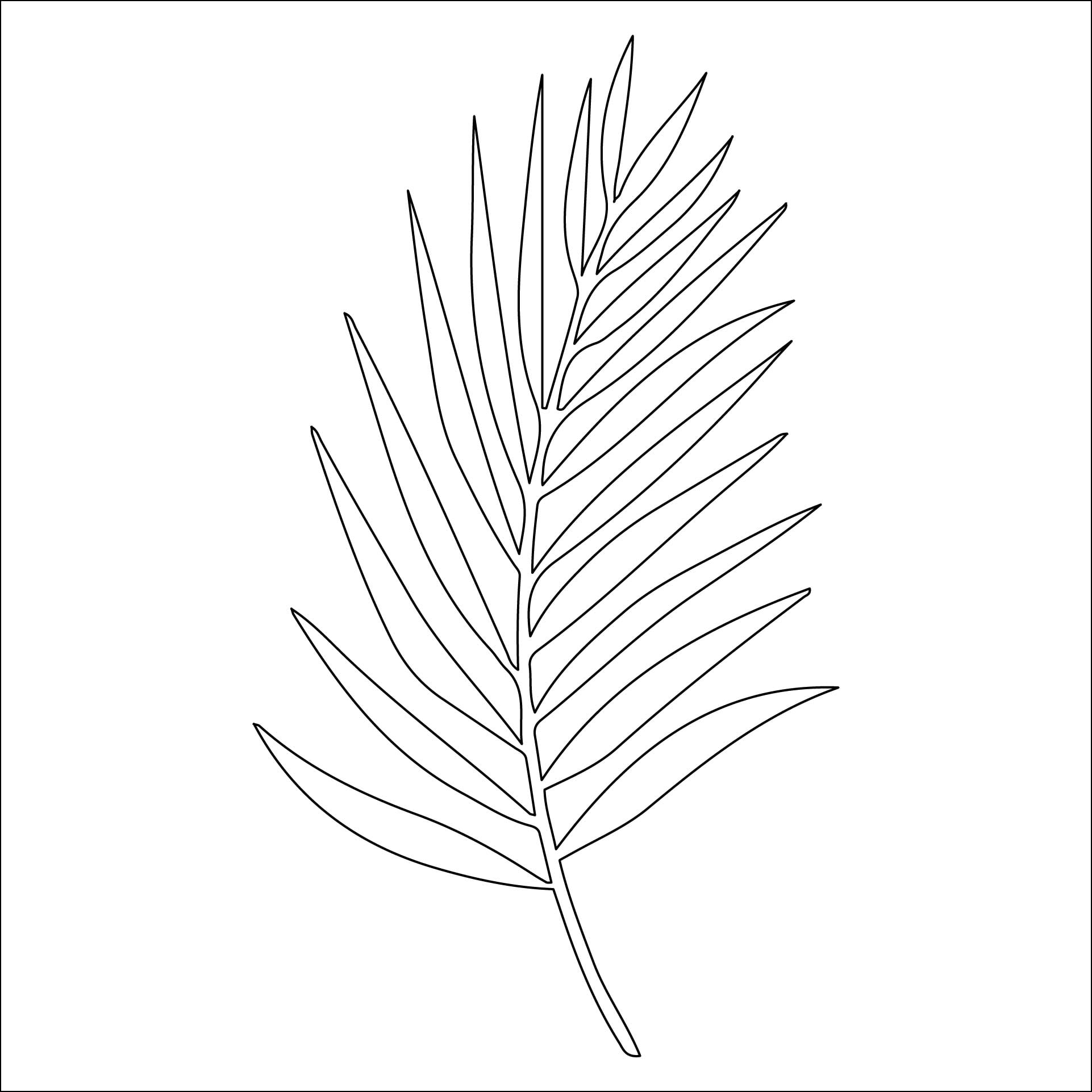 Free Printable Palm Tree Leaf Template