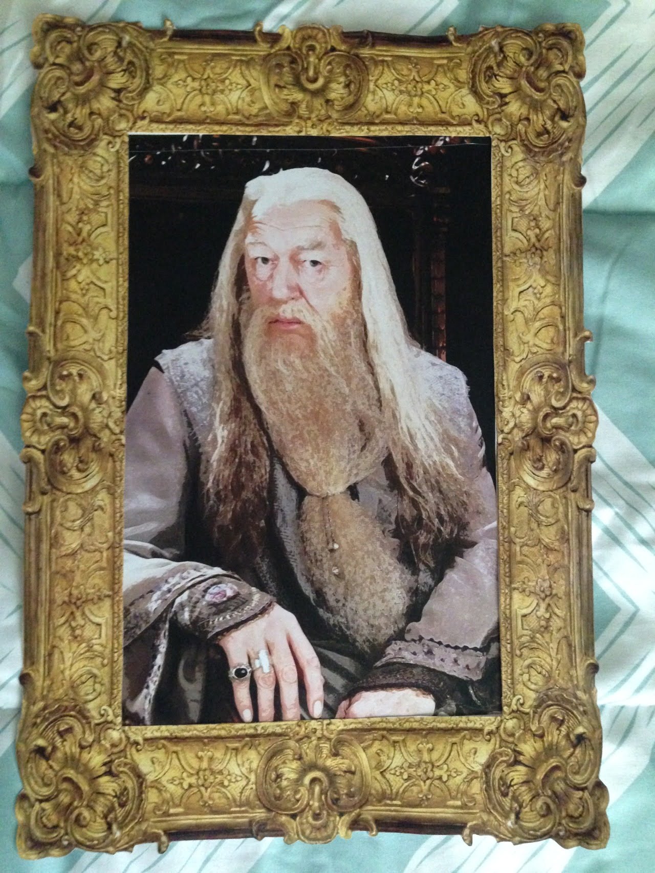 A Very Harry Halloween Hogwarts Portraits