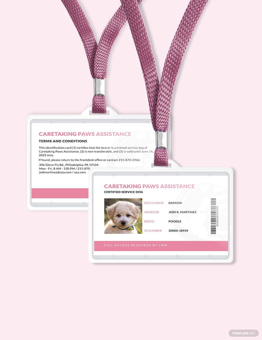 Animal ID Card Templates Design Free Download Template