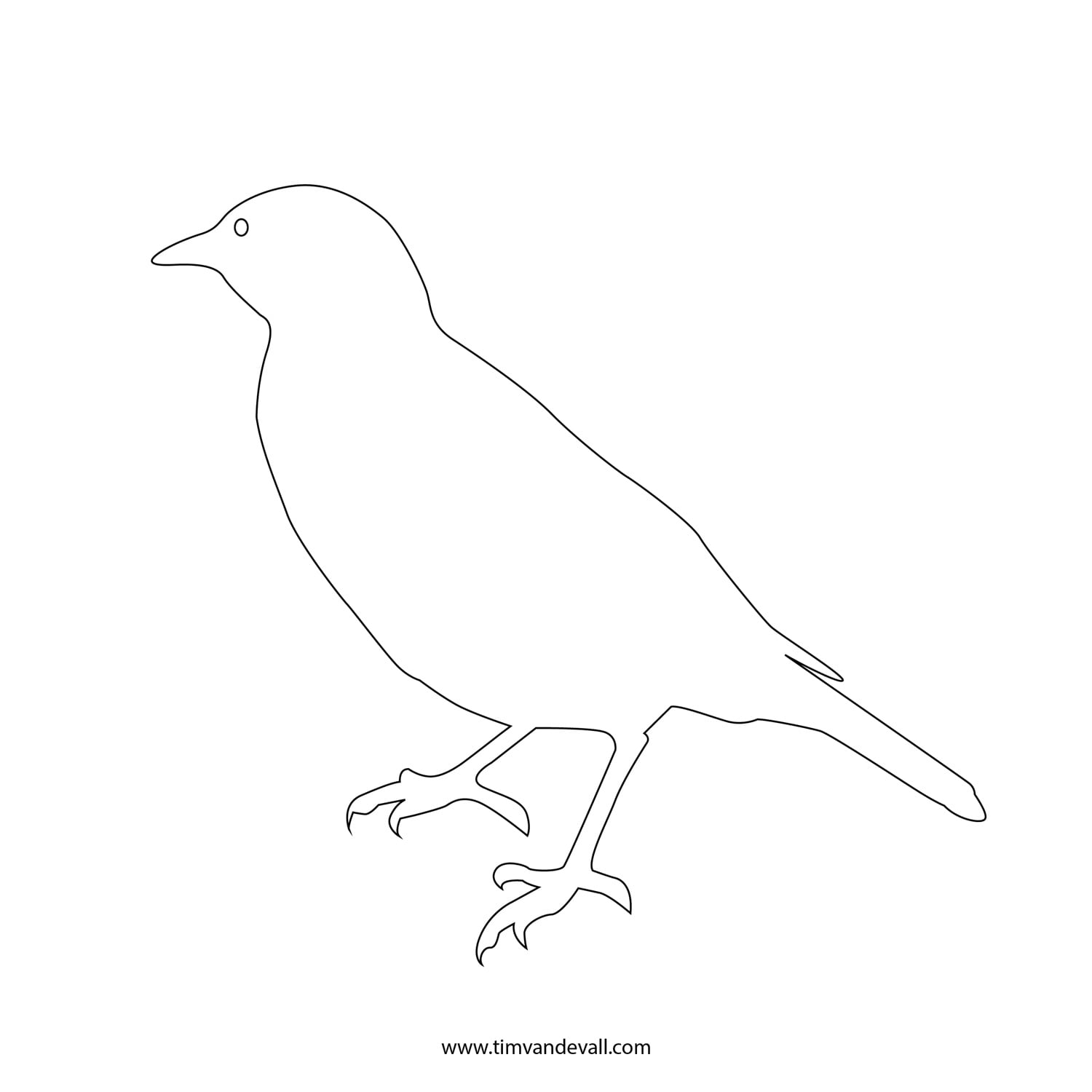 Printable Bird Outline Template