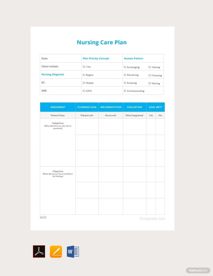 Care Plan Templates Documents Design Free Download Template