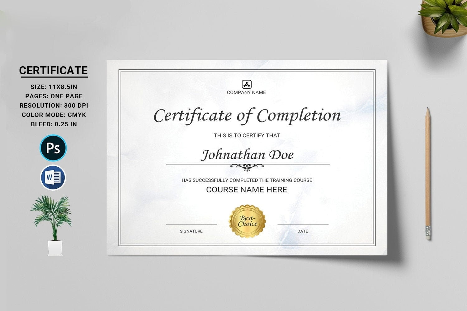 Certificate Template Printable Certificate Of Completion MS Etsy Australia