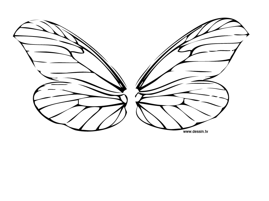 Printable Dragonfly Wings Template