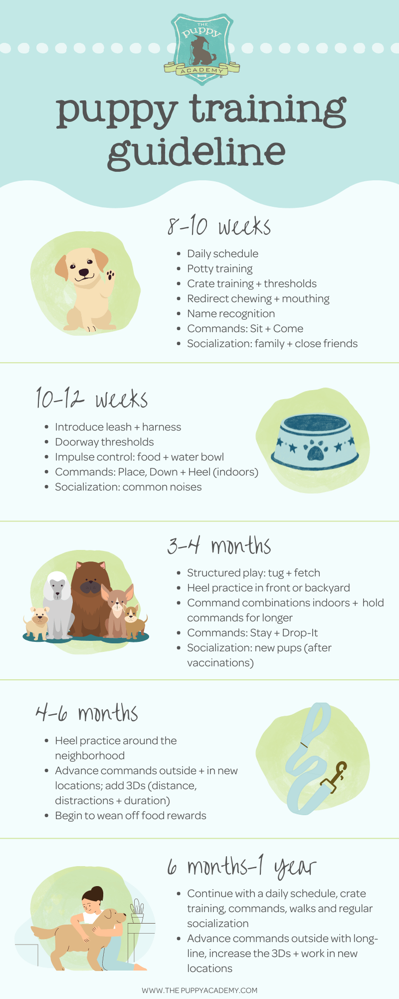 Printable Puppy Schedule 8 Weeks