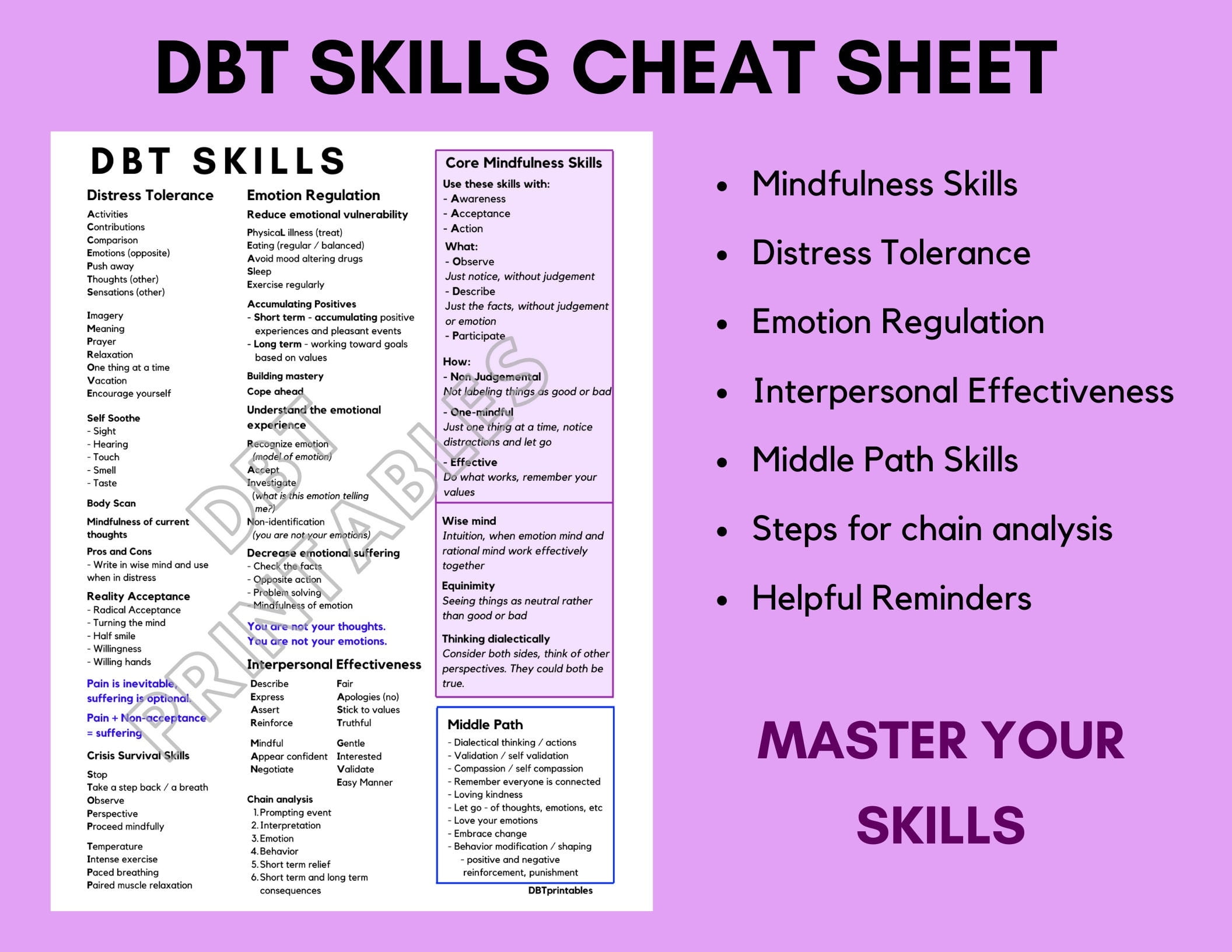 DBT Skills Cheat Sheet Dialectical Behavior Therapy Skills Etsy de