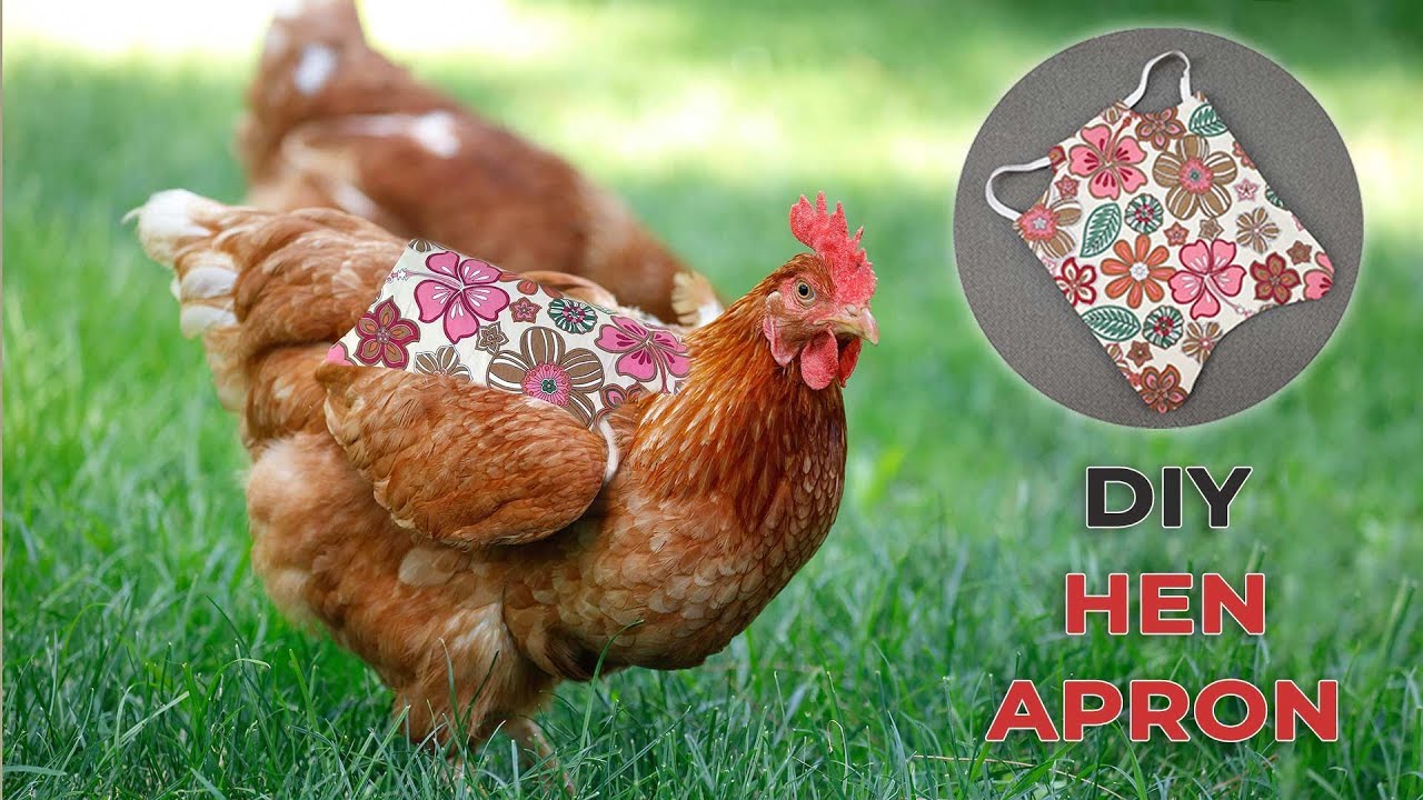 DIY Chicken Saddle FREE Hen Apron Pattern YouTube