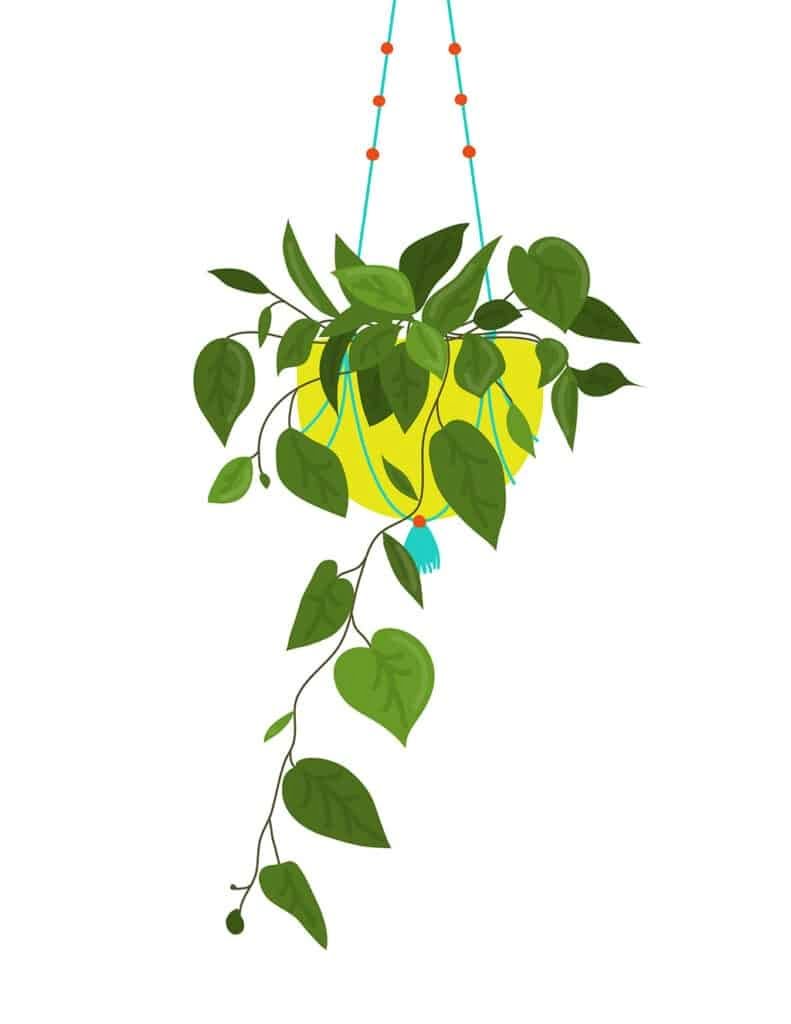 FREE Plant Art Printables 8 Fun And Free Options To Choose From 