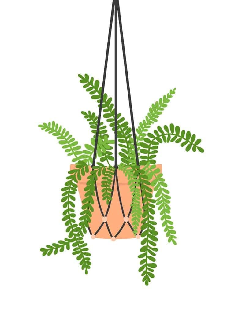 FREE Plant Art Printables 8 Fun And Free Options To Choose From 