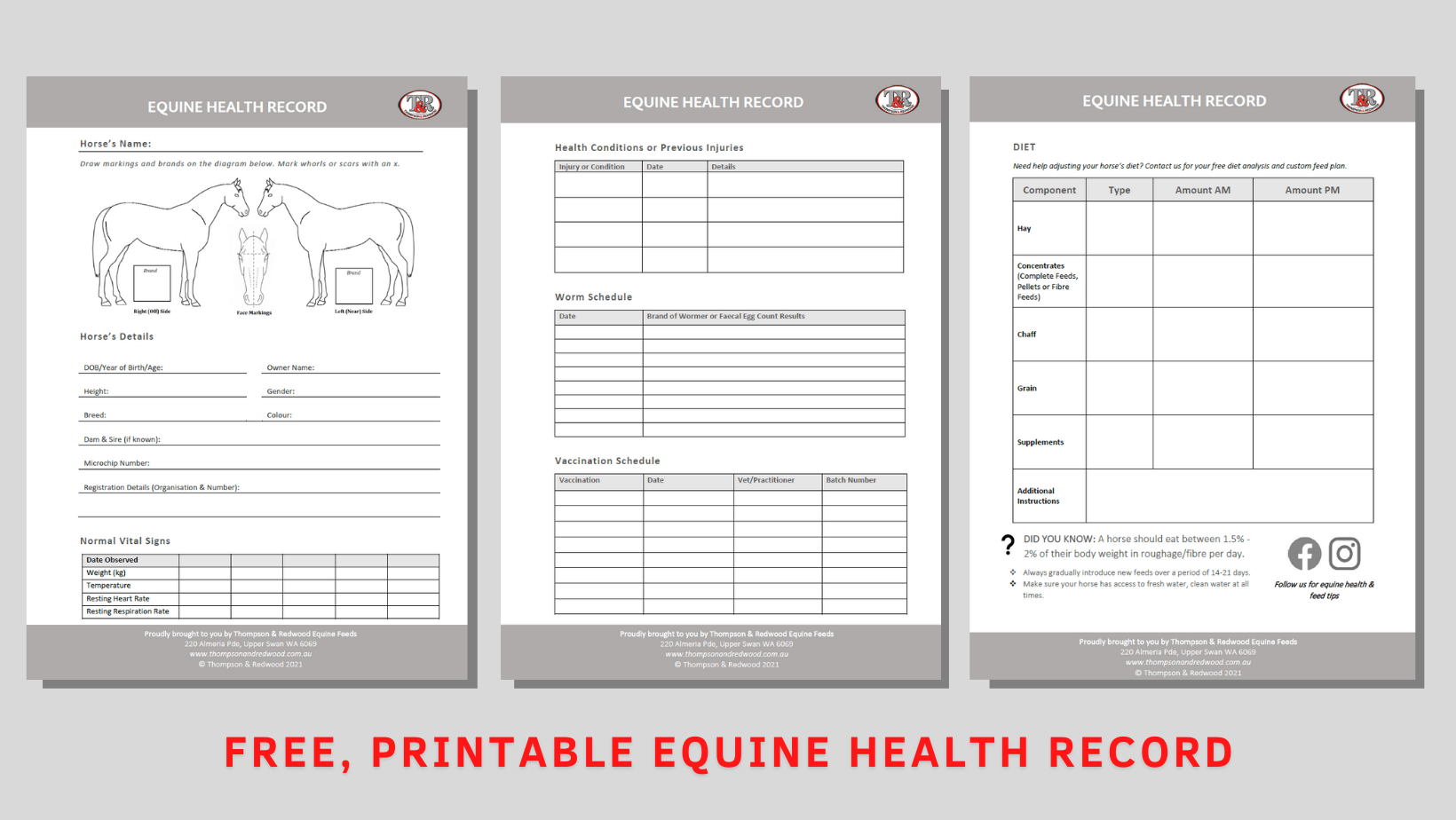 FREE PRINTABLE EQUINE HEALTH RECORD Thompson And Redwood