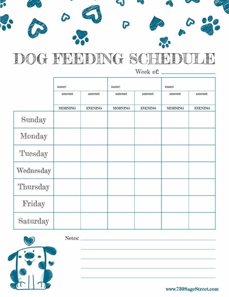 Free Printable Feeding Schedule To Track Your Dog s Food Dog Feeding Schedule Pet Care Printables Puppy Feeding Schedule