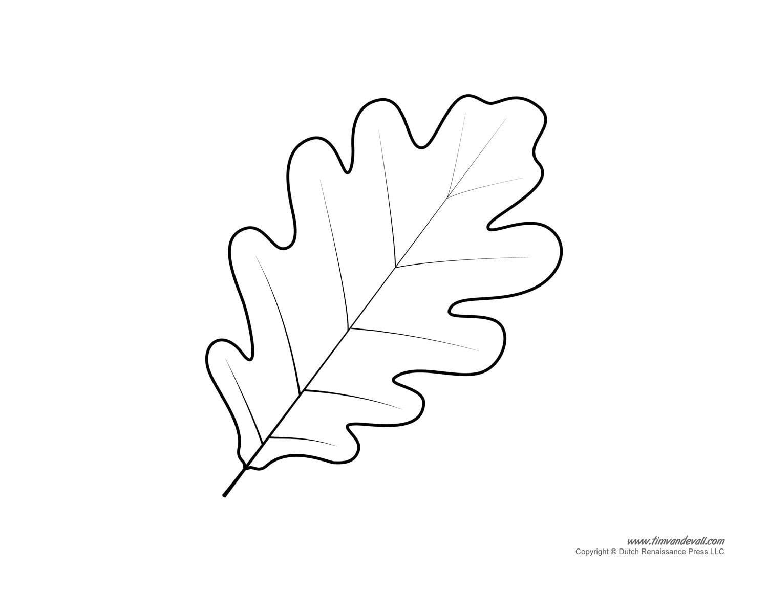 Free Printable Oak Leaf Template Leaf Coloring Page Fall Leaves Coloring Pages Leaf Template