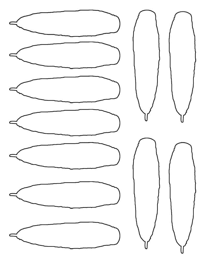 Printable Turkey Feather Template