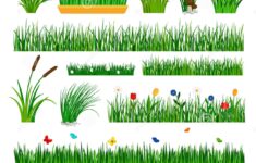 Growing Grass Template For Garden Stock Vector Illustration Of Flower Field 91165721