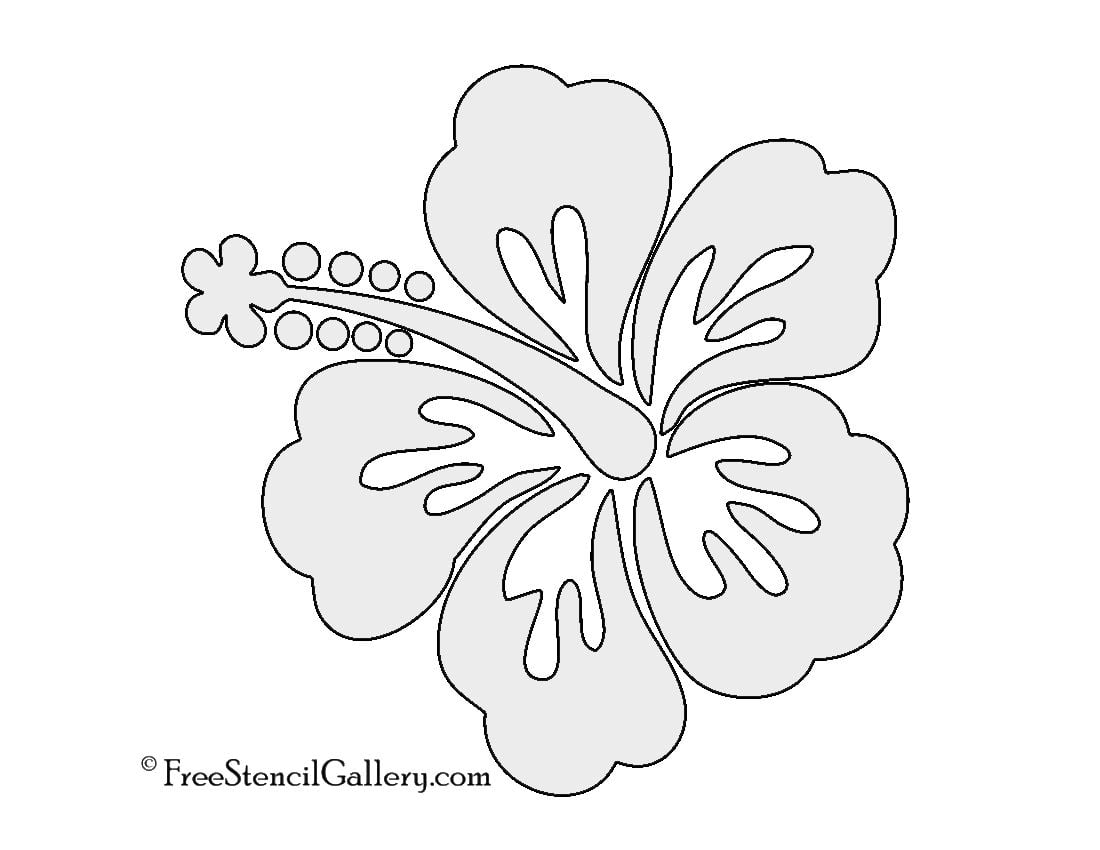 Hibiscus Flower Stencil Free Stencil Gallery Hibiscus Flower Drawing Flower Stencil Patterns Flower Stencil