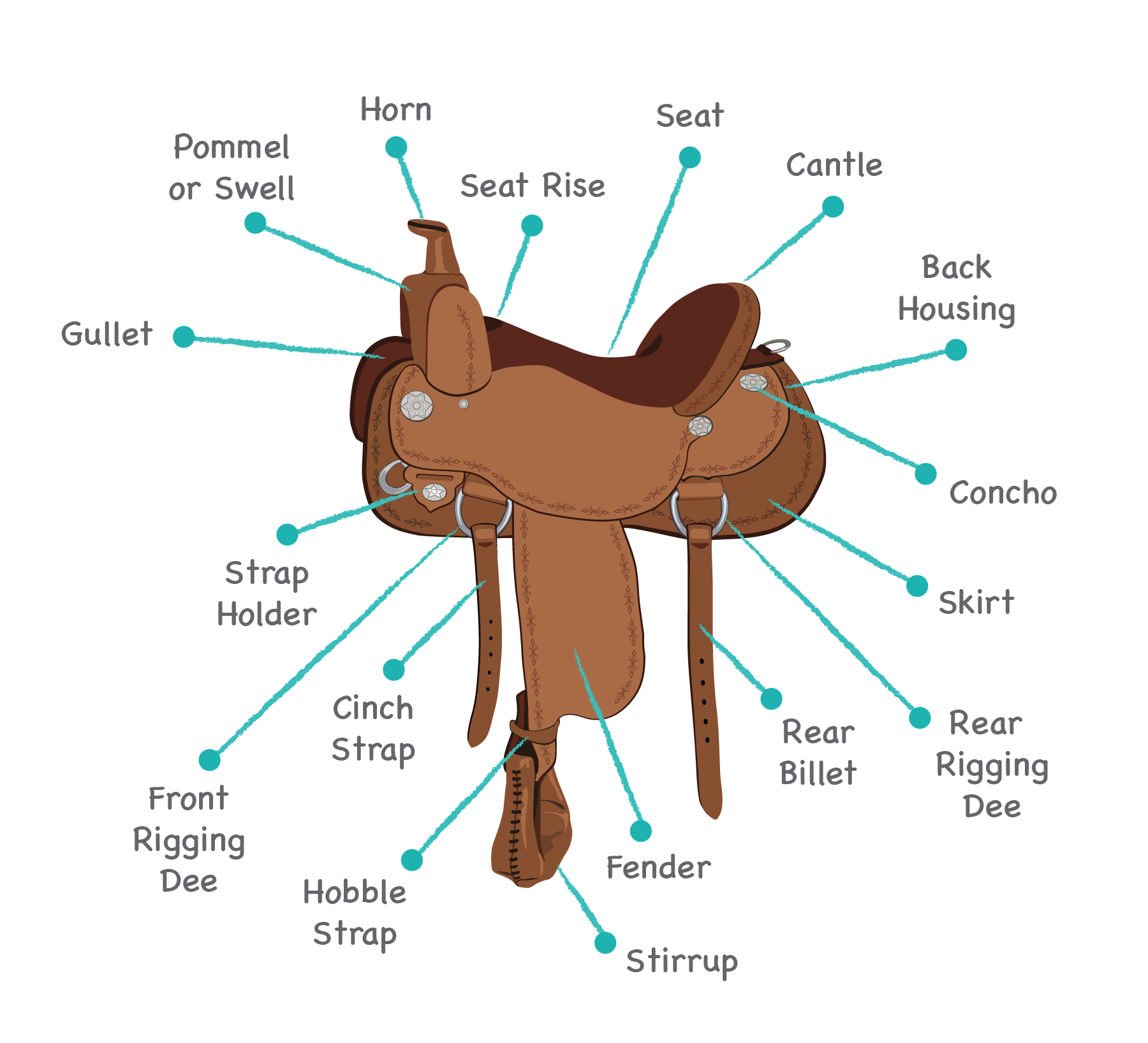 Horse Saddles Parts Guide Free Saddle Learning Games Allpony