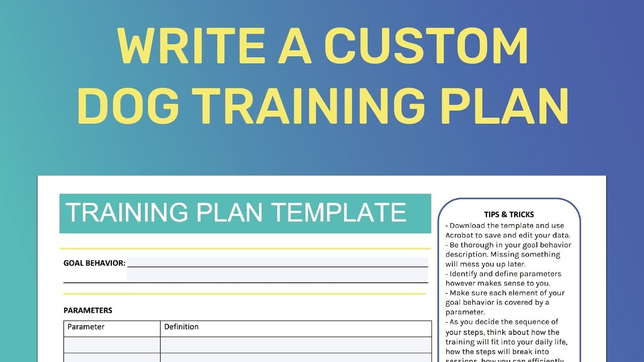 How To Make A Custom Training Plan Hazeldog
