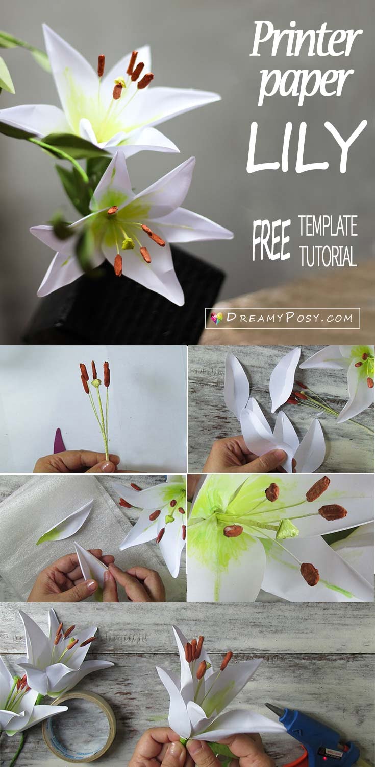 Printable Paper Lily Template