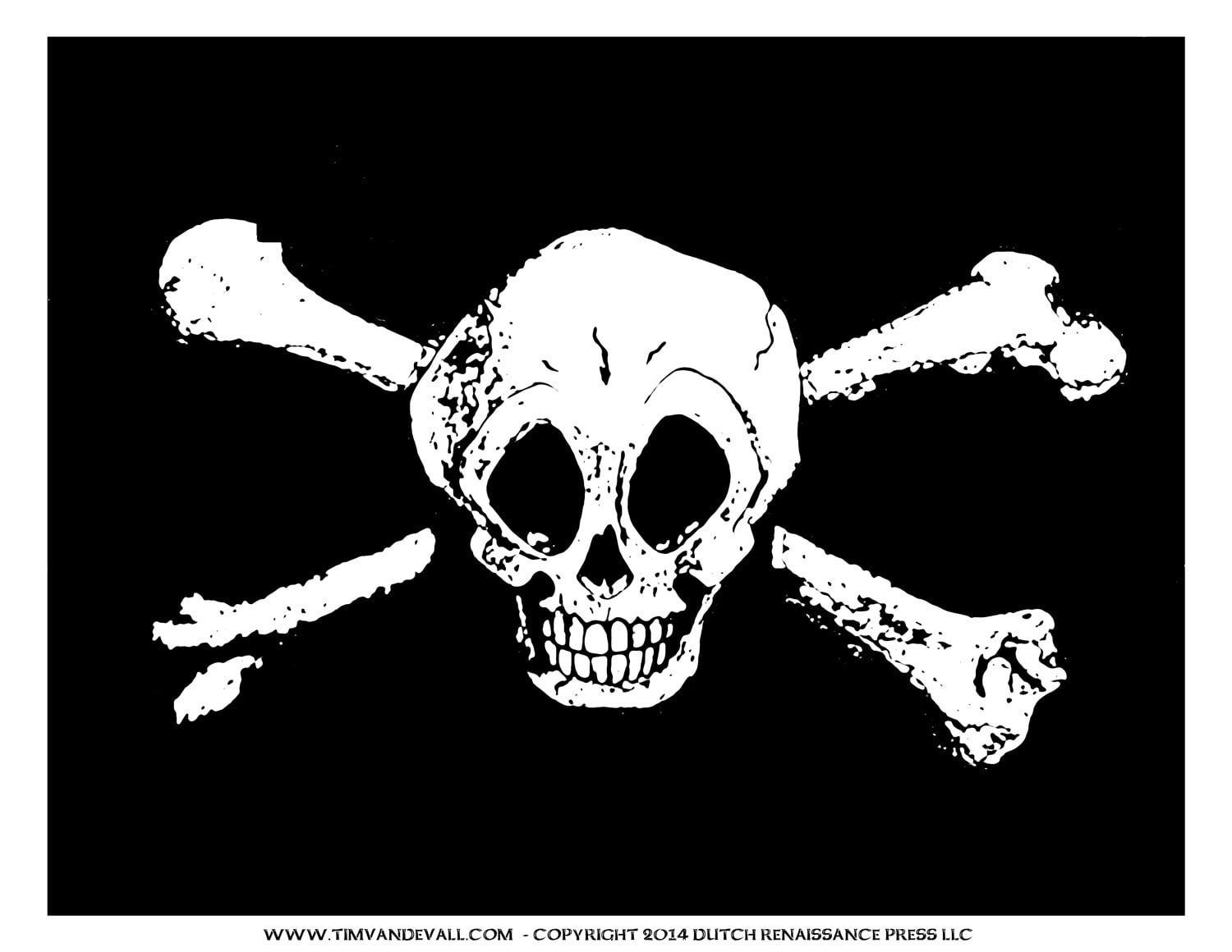 Jolly Roger Pirate Flag Printable For A Pirate Birthday Party 