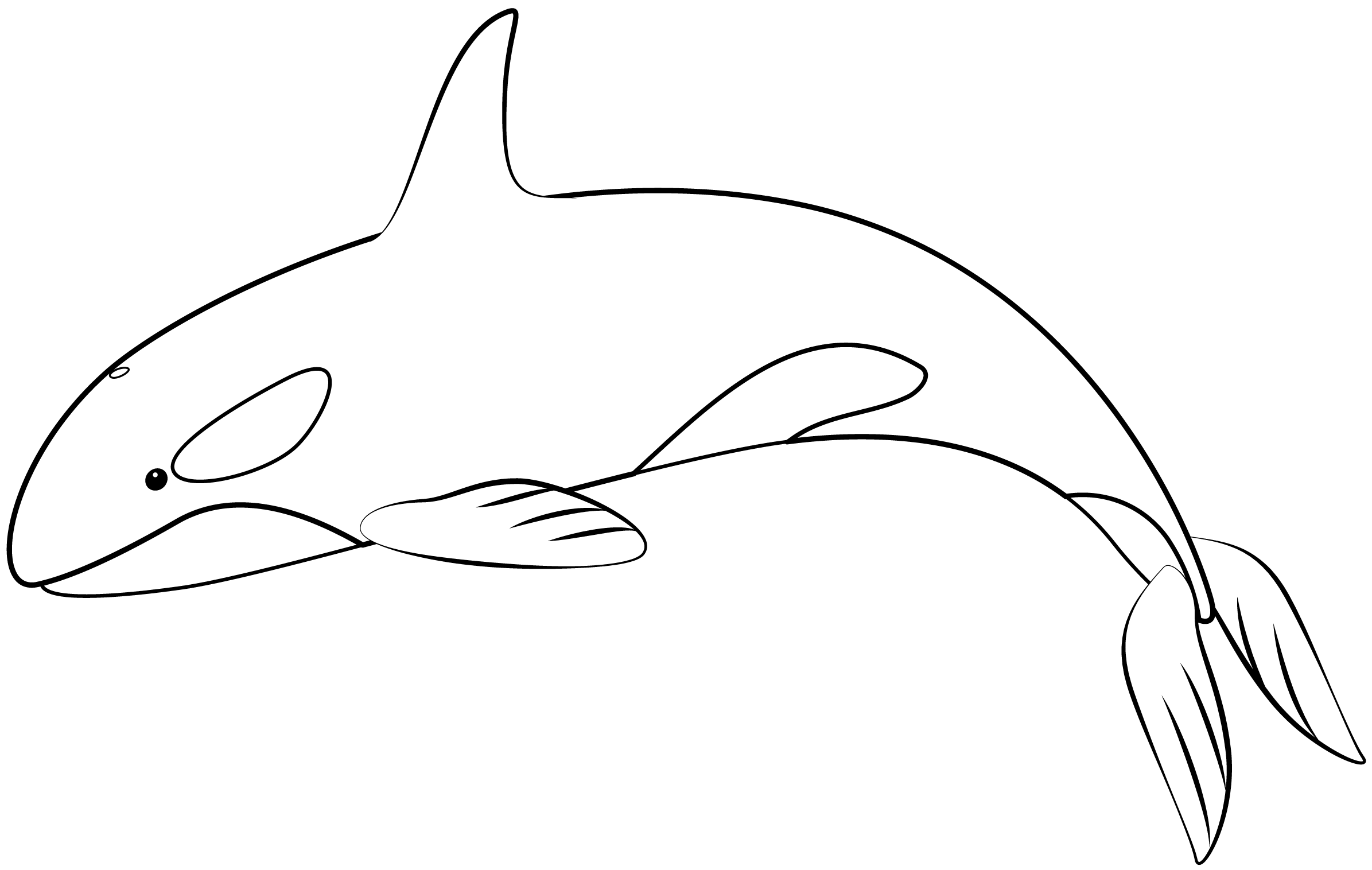 Killer Whale Printable Template Free Printable Papercraft Templates