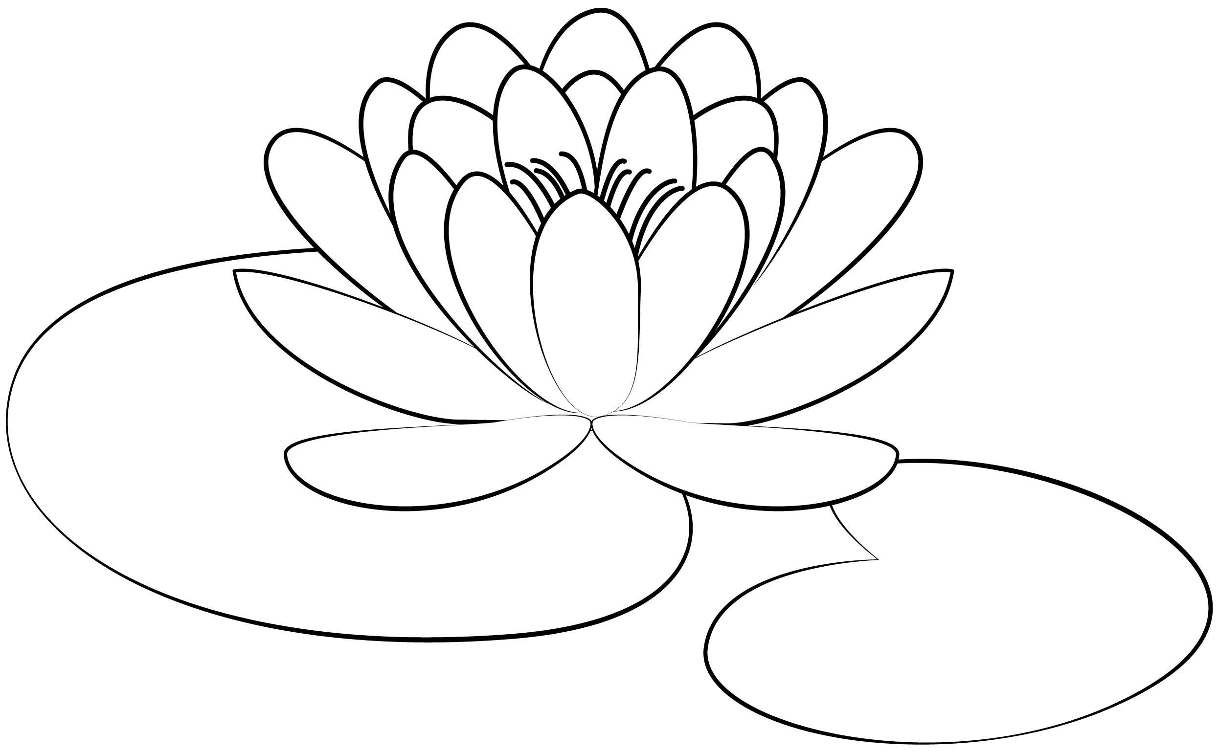 Lily Pad Printable Template Free Printable Papercraft Templates