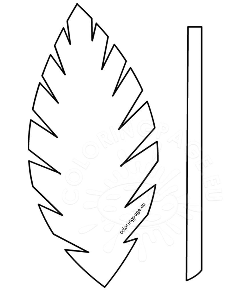 Palm Leaf Coloring Pages Coloring Home