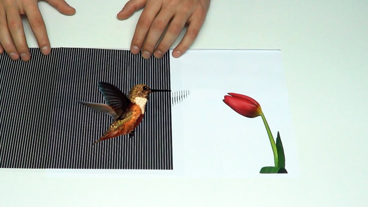 Paper Drawings Come To Life In These Amazing Illusions That Make You Go Wow