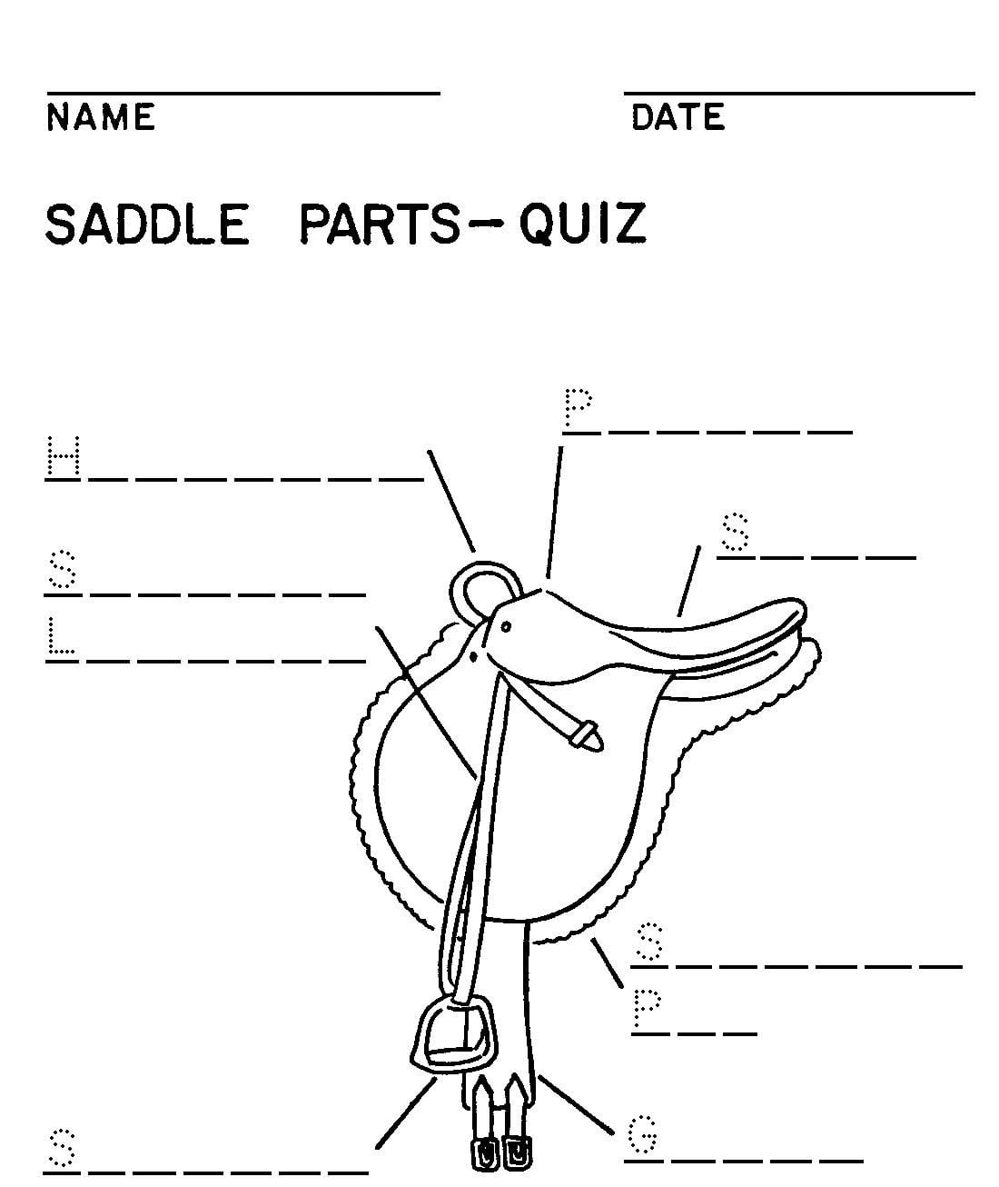 Part Western Saddle Fill In Blank Worksheet In 2022 Horse Lessons Pony Club Riding Lessons