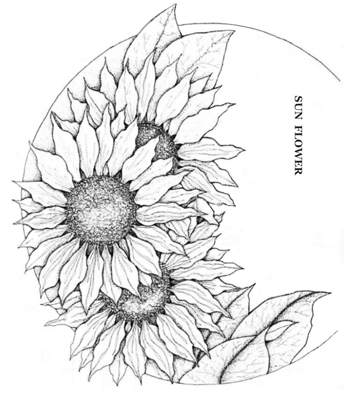 Pin By Naser Piran On Leather Carving Pattern Sunflower Drawing Sunflower Coloring Pages Flower Drawing