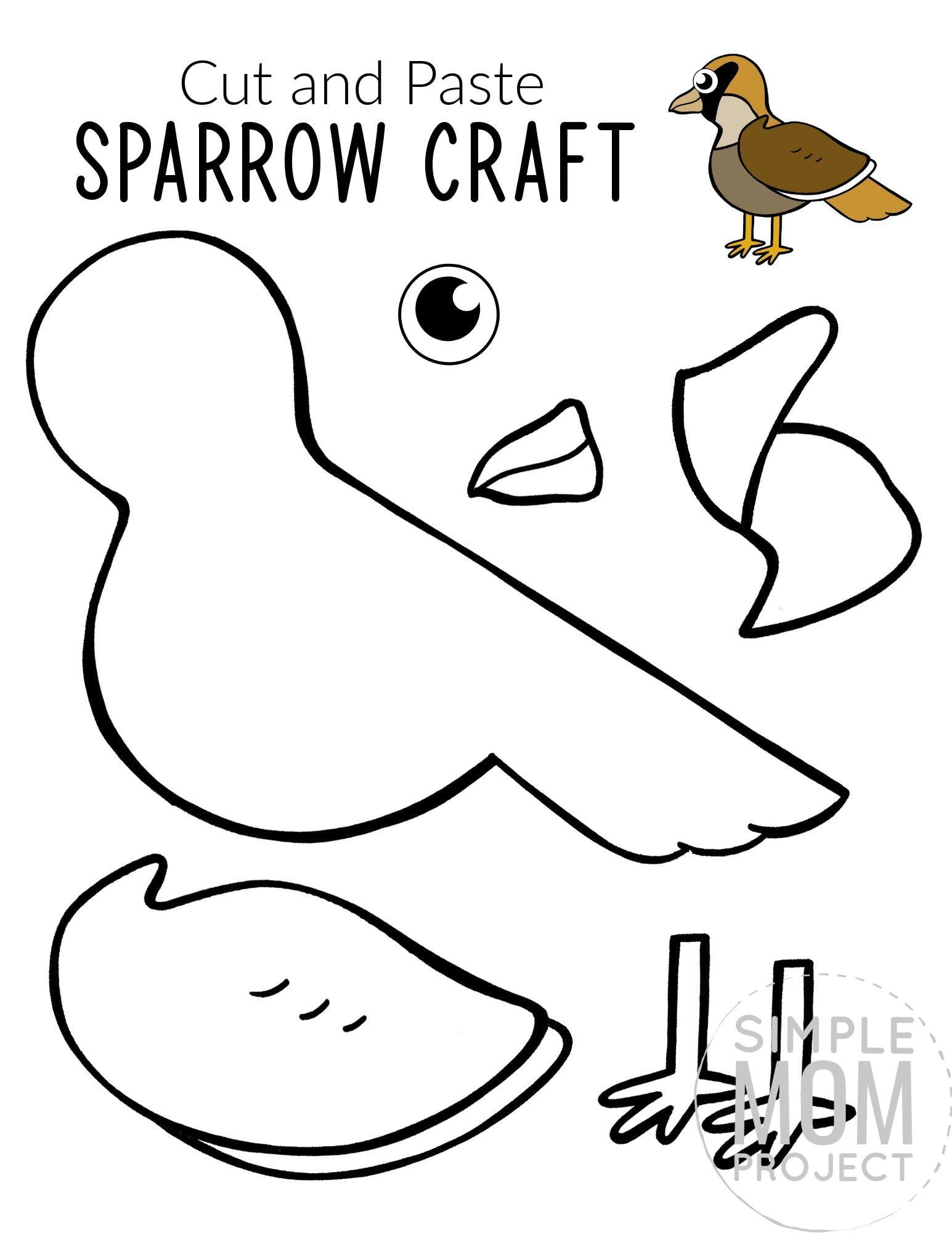 Pin On Sparrow