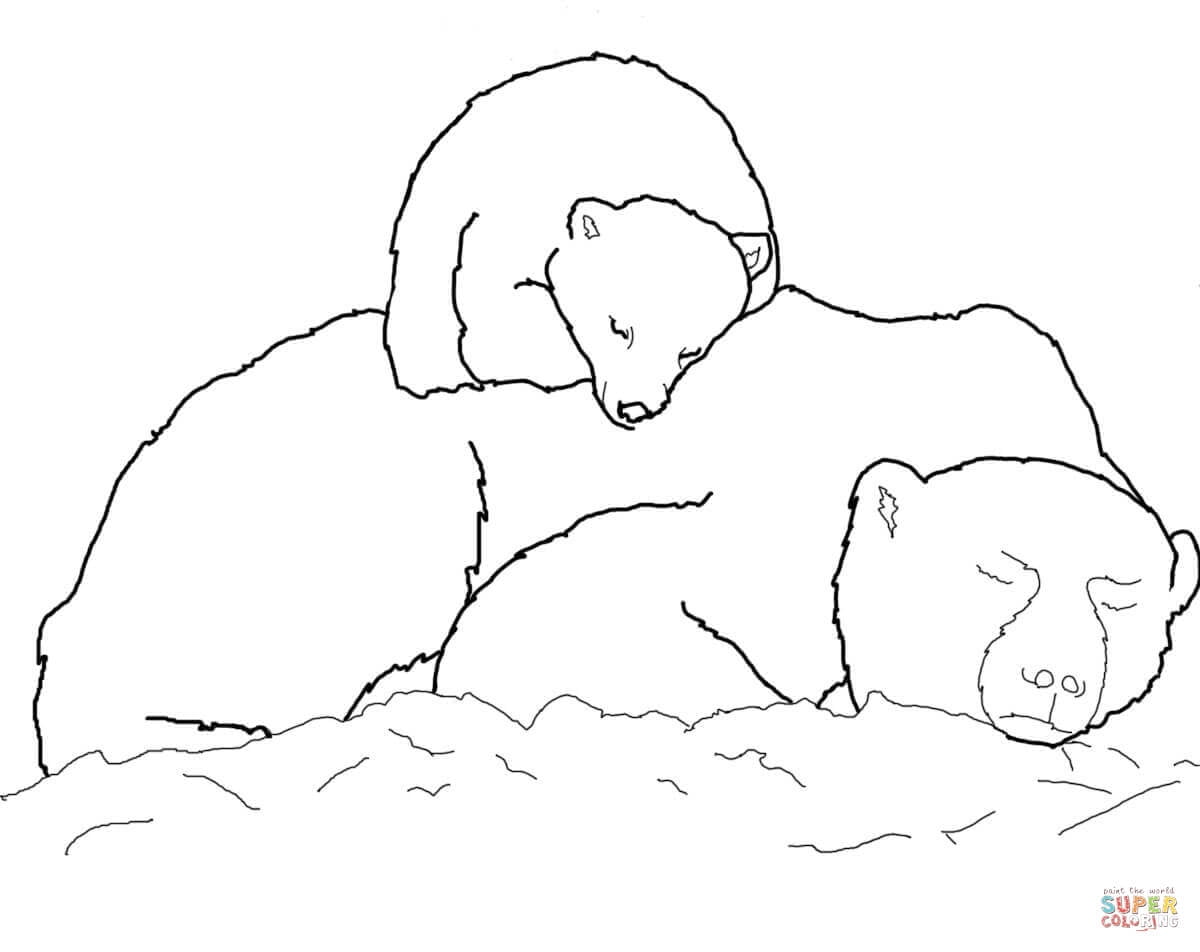 Polar Bear Cub Sleeping On Mother s Back Coloring Page Free Printable Coloring Pages
