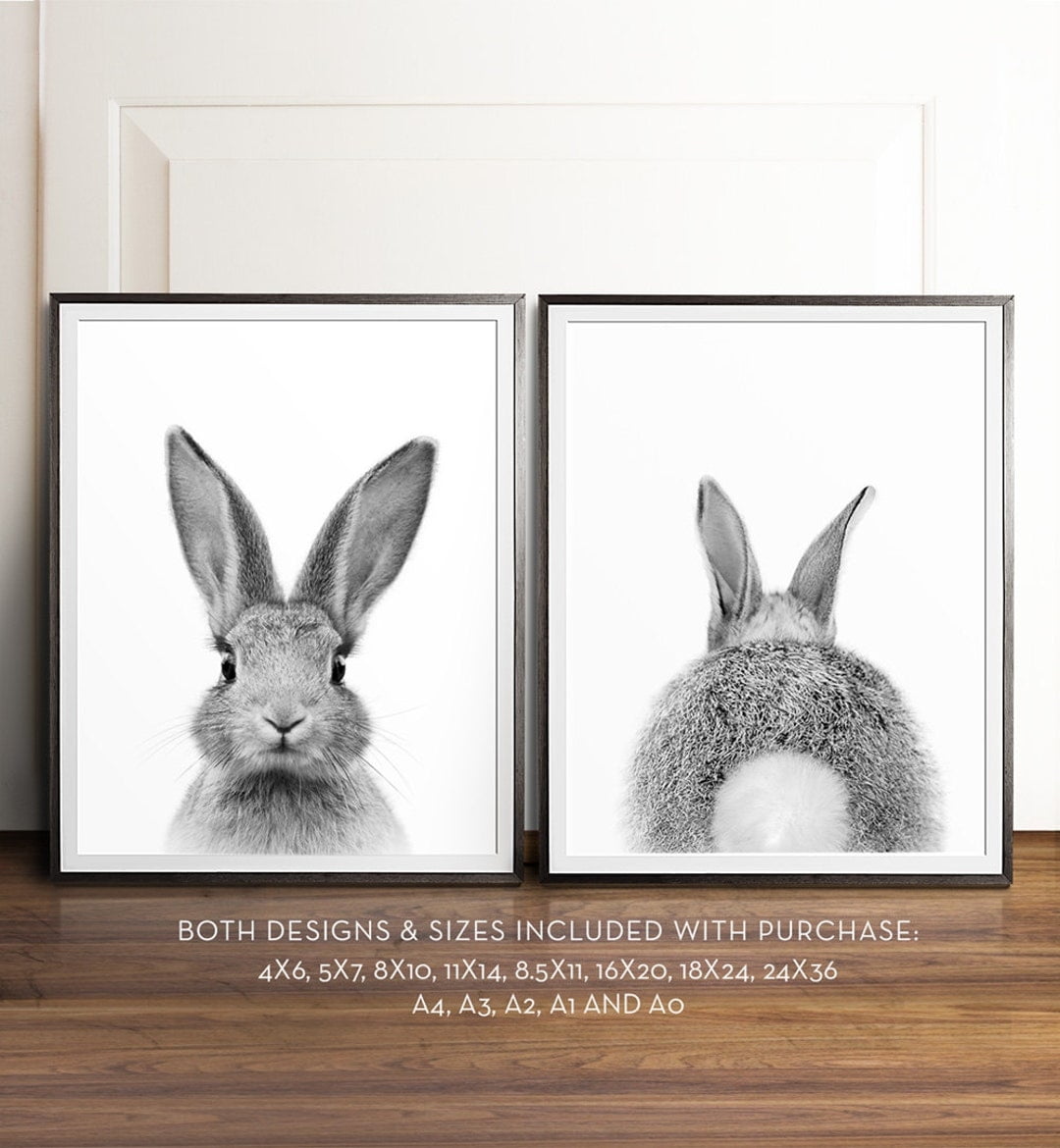 Rabbit Print Bunny Bum Rabbit Tail Black And White Etsy Schweiz