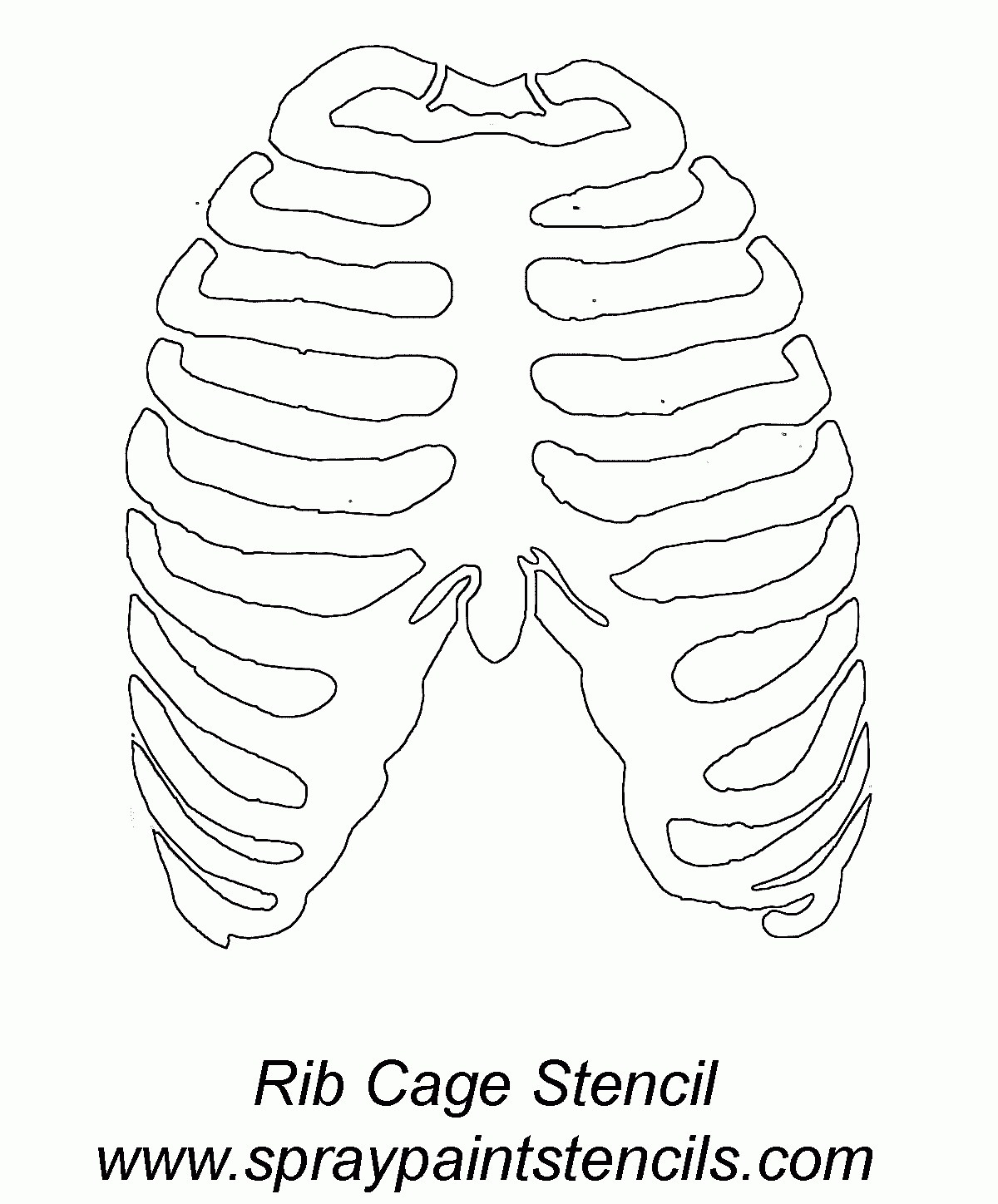 Rib cage stencil gif 1200 1448 Human Ribs Human Rib Cage Rib Cage Drawing