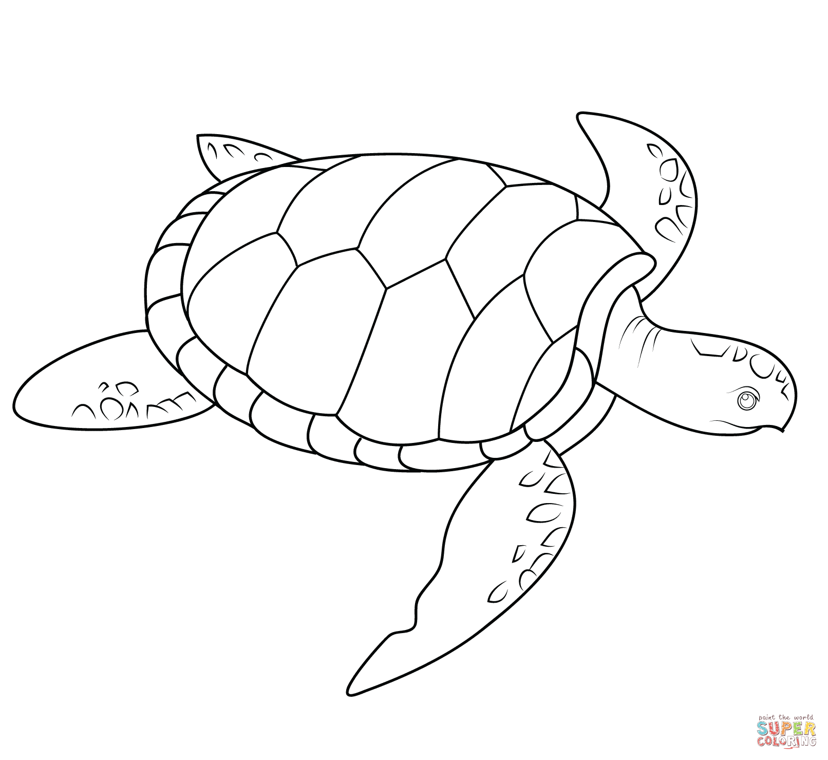 Sea Turtle Coloring Page Free Printable Coloring Pages