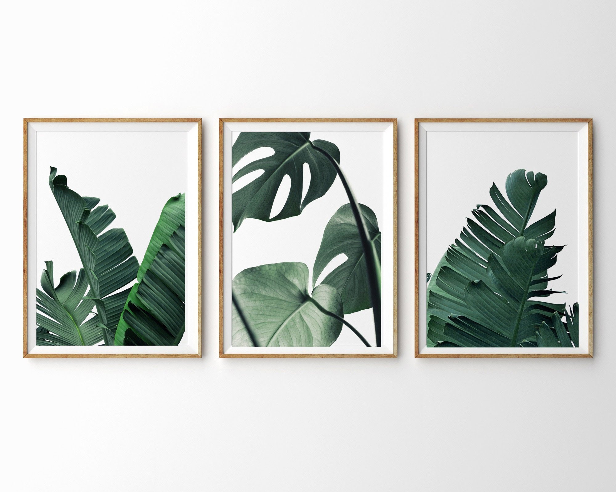 Tropical Leaf Print Set Of 3 Prints Botanical Wall Art Gallery Etsy sterreich