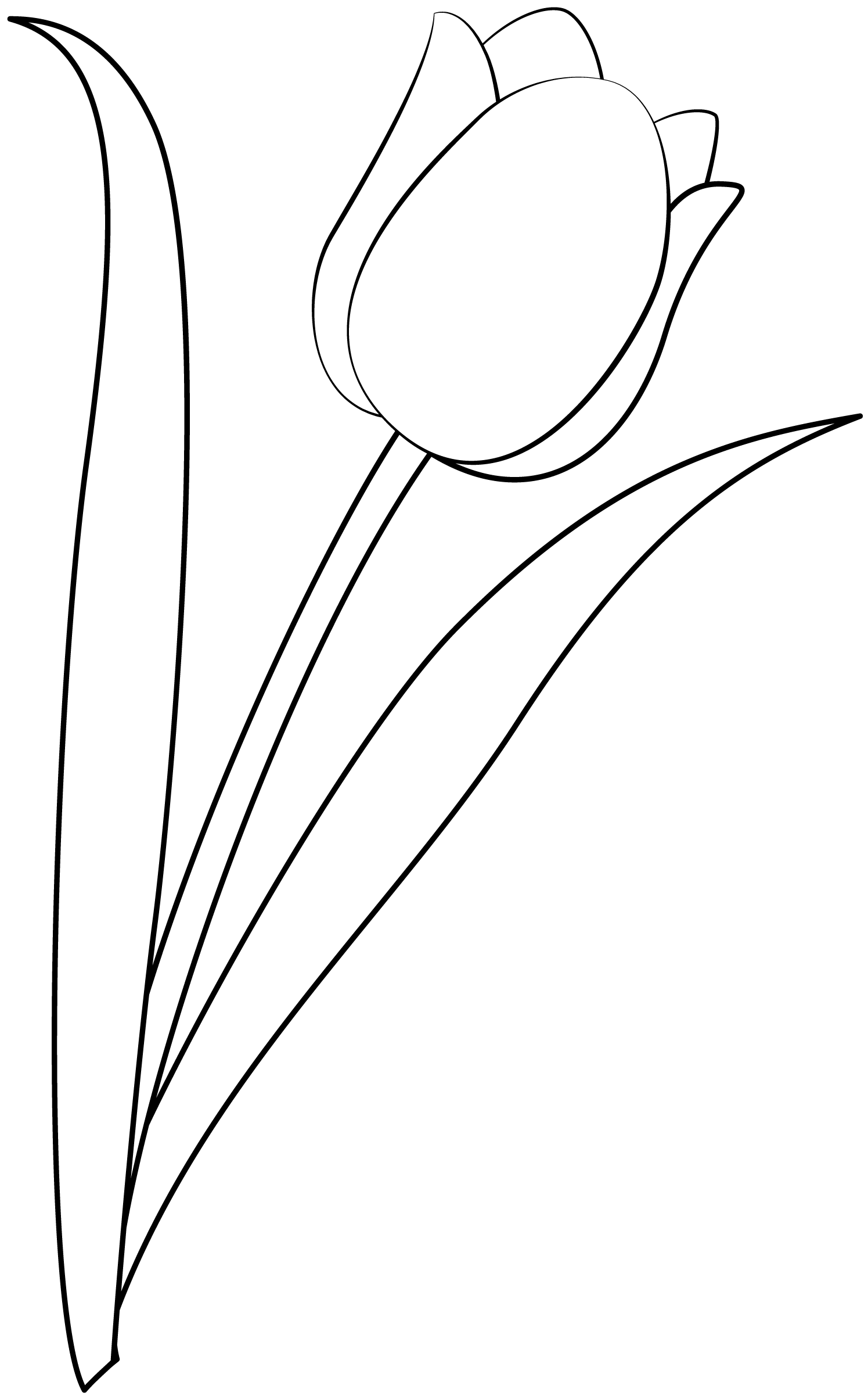 Printable Cut Out Tulip Template