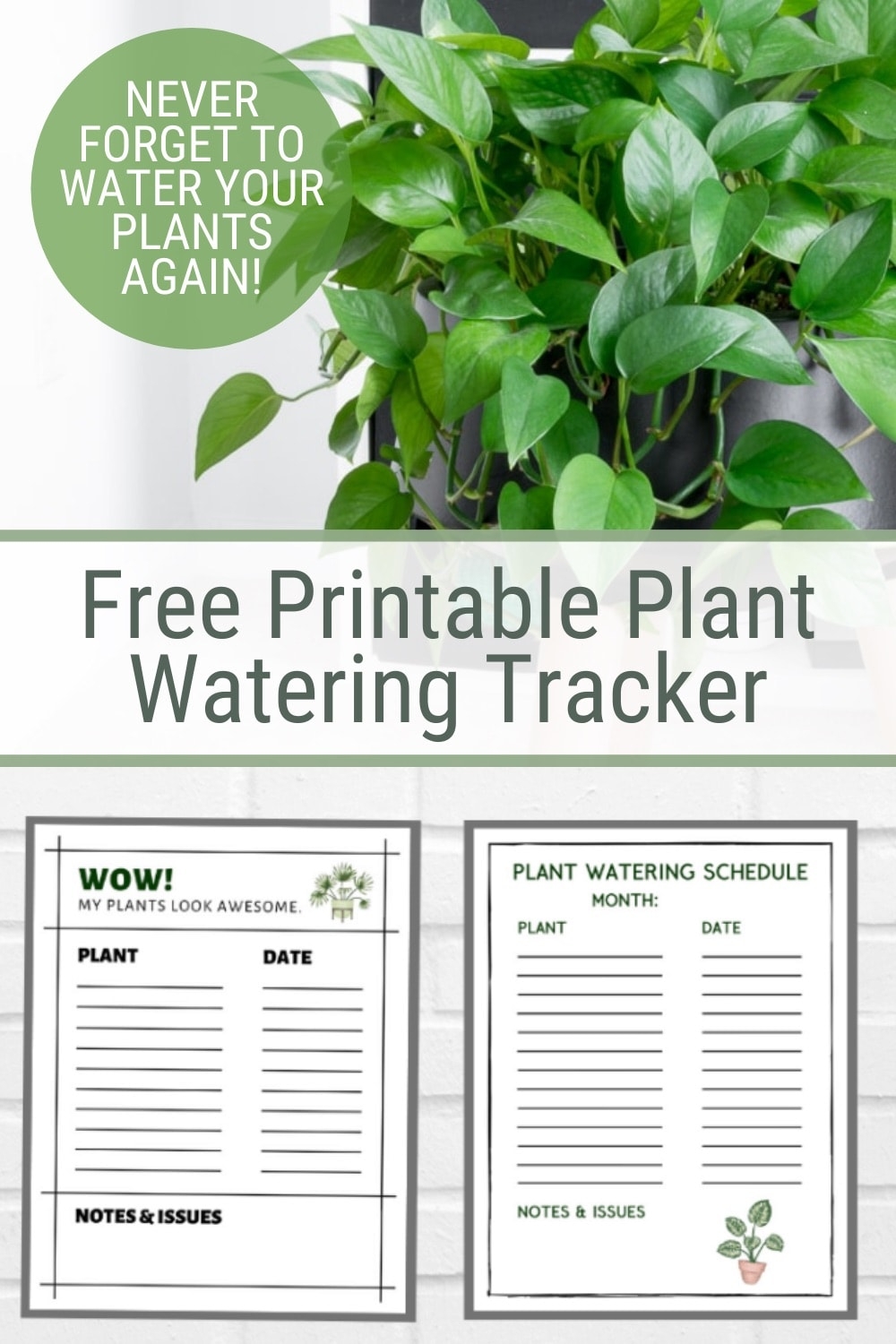 3 Free Printable Plant Watering Trackers Houseplant Watering Schedule