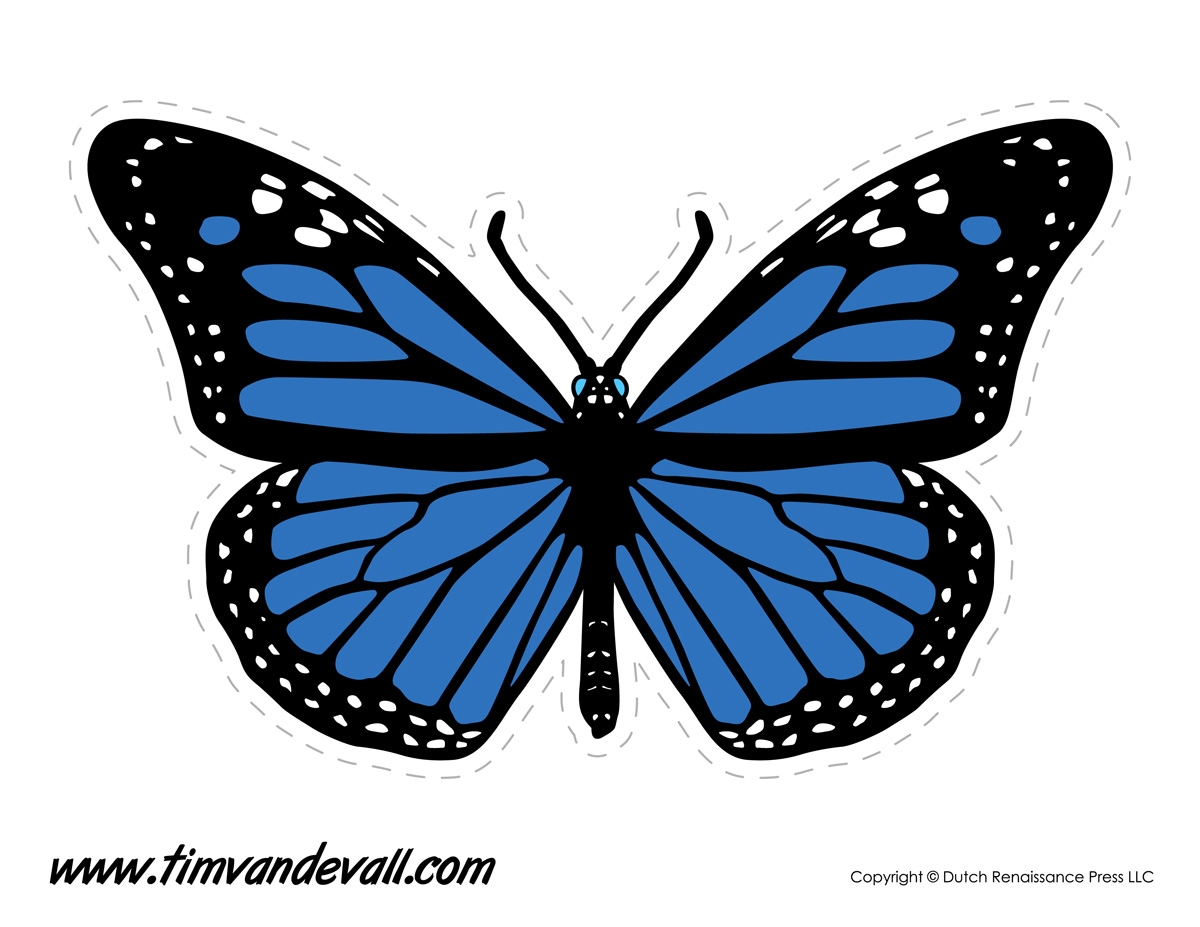 Blue Butterfly Image Tim s Printables