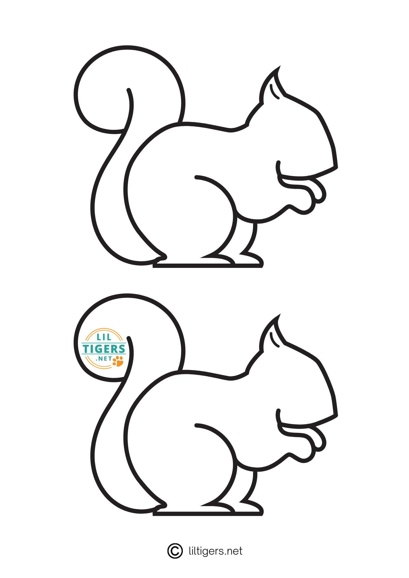 Free Printable Squirrel Templates Lil Tigers