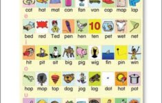 CVC Word Charts Interactive Notebooks ESL ELL Newcomer Three Letter Words 3 Letter Words Letter N Words