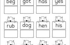 Three Letter Words Reading Writing And Matching Worksheets For Preschool And Kindergarten Kids