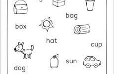 Three Letter Words Reading Writing And Matching Worksheets For Preschool And Kindergarten Kids