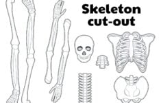 15 Best Printable Halloween Skeleton Patterns Printablee