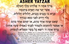 Asher Yatzar Sign Education