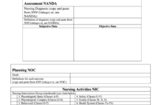 Blank Care Plan Template For Nurses Fill Out Sign Online DocHub