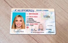 California Drivers License Template